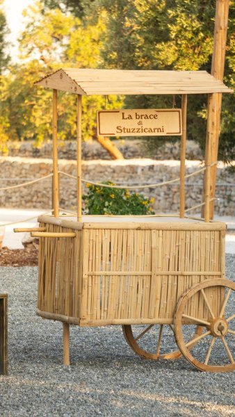 Vista panoramica uliveto sera